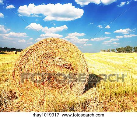 Rural landscapes View Large Photo Image Stock Photo - Rural landscapes. Fotosearch