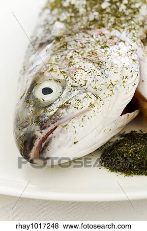 "Salmon prepared for warm smoking on the plate with dill, sea salt and lime" View Large Photo Image Stock Photo - "Salmon prepared for warm smoking on the plate with dill, sea salt and lime". Fotosearch
