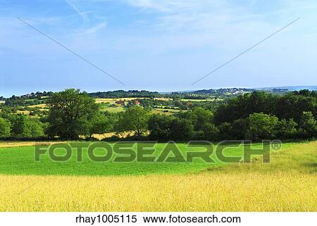Stock Photography - Scenic view on summer agricultural landscape in rural France. Fotosearch