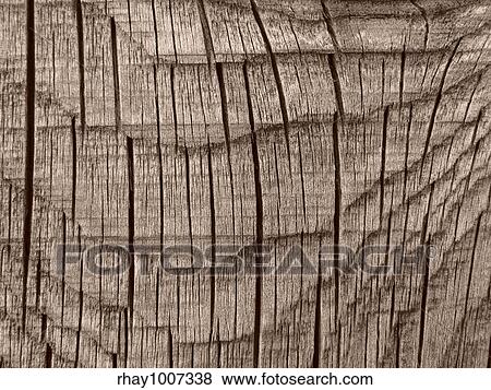 Stock Photo - sepia toned old wooden background with cracks and tree rings . Fotosearch
