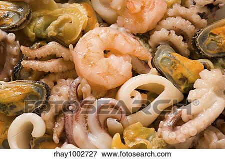 Stock Photo - "Shrimps, mussels, octopuses and other seafood prepared for the use by close upShrimps, mussels, octopuses and other seafood prepared for the use by close up". Fotosearch