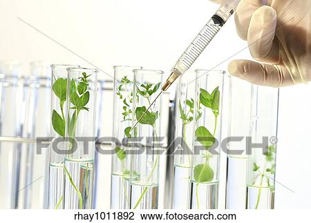 Stock Image - Syringe Injects liquid in a Row of Test Tubes. Fotosearch