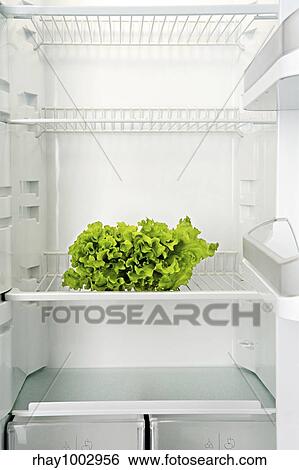 Stock Photograph - The bunch of green fresh salad lays in an empty refrigeratorThe bunch of green fresh salad lays in an empty refrigerator. Fotosearch
