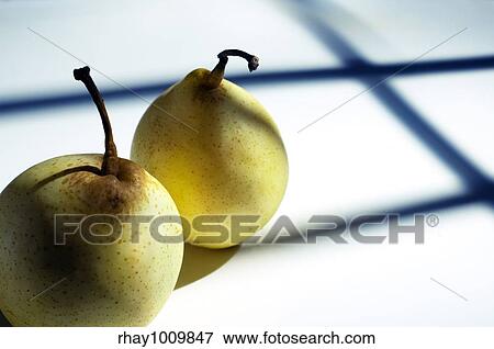 two apple-pears on white table with creative contrasting lighting View Large Photo Image Stock Photo - two apple-pears on white table with creative contrasting lighting. Fotosearch