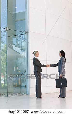 two business women shaking hands View Large Photo Image Stock Photo - two business women shaking hands. Fotosearch