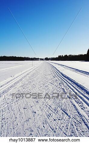 Winter landscape from the froosen lake View Large Photo Image Stock Photo - Winter landscape from the froosen lake. Fotosearch