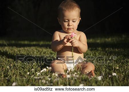 Baby girl sitting on grass holding rose View Large Photo Image Stock Photo - Baby girl sitting on grass holding rose. Fotosearch