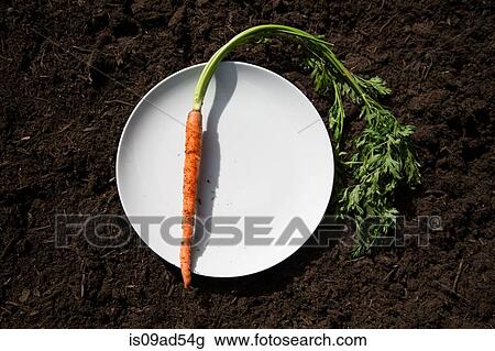 Carrot on plate laid on soil View Large Photo Image Stock Image - Carrot on plate laid on soil. Fotosearch