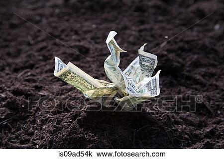Dollar bills growing out of soil View Large Photo Image Stock Image - Dollar bills growing out of soil. Fotosearch