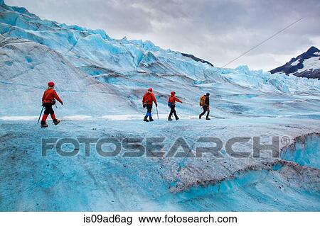 Four people walking on Mendenhall Glacier, Alaska, USA View Large Photo Image Stock Image - Four people walking on Mendenhall Glacier, Alaska, USA. Fotosearch