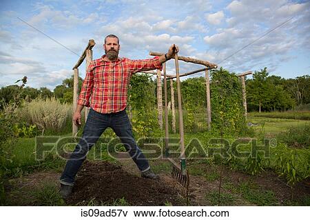 Mature man holding rake on herb farm View Large Photo Image Stock Photo - Mature man holding rake on herb farm. Fotosearch