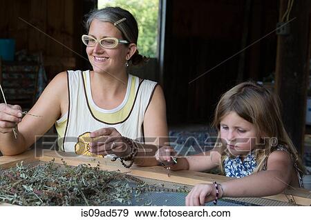 Mother and daughter sorting dried herbs View Large Photo Image Stock Photo - Mother and daughter sorting dried herbs. Fotosearch