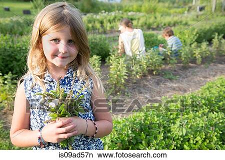 Portrait of girl holding bunch of foliage on herb farm View Large Photo Image Picture - Portrait of girl holding bunch of foliage on herb farm. Fotosearch