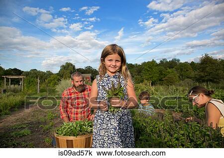Stock Image - Portrait of girl holding bunch of leaves on family herb farm. Fotosearch