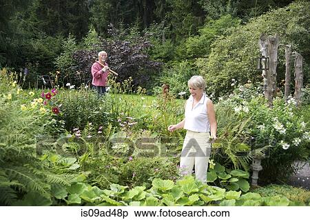 Portrait of senior couple working in garden View Large Photo Image Stock Photography - Portrait of senior couple working in garden. Fotosearch