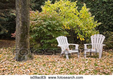 Two chairs in front of tree in autumn View Large Photo Image Stock Image - Two chairs in front of tree in autumn. Fotosearch