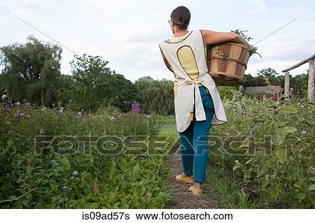 Woman carrying basket of plants on family herb farm View Large Photo Image Stock Photograph - Woman carrying basket of plants on family herb farm. Fotosearch