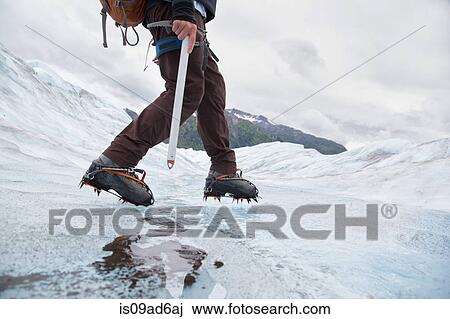 Young man walking on Mendenhall Glacier, Alaska, USA View Large Photo Image Stock Image - Young man walking on Mendenhall Glacier, Alaska, USA. Fotosearch