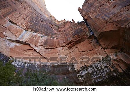 Looking up from Angels Landing trailhead, Zion National Park, Utah, USA View Large Photo Image Stock Photo - Looking up from Angels Landing trailhead, Zion National Park, Utah, USA. Fotosearch