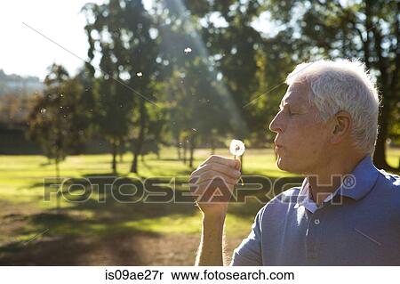 Stock Photography - Senior man blowing dandelion clock. Fotosearch
