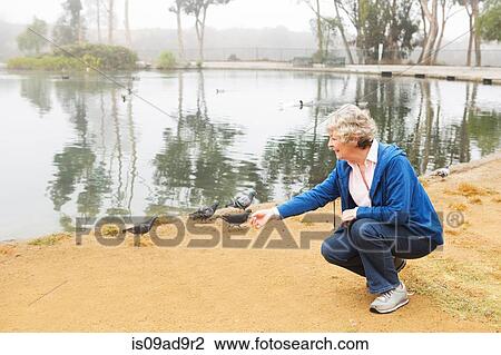 Stock Image - Senior woman feeding pigeons by the lake. Fotosearch