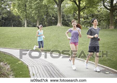 Three runners on path in park View Large Photo Image Stock Image - Three runners on path in park. Fotosearch