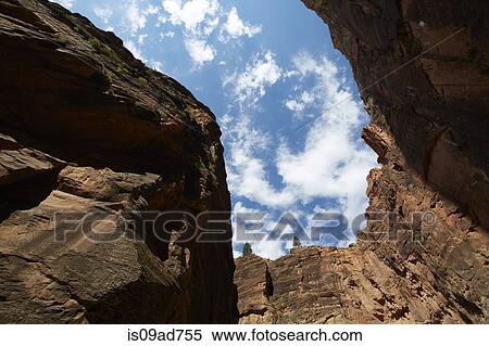 Virgin narrows looking up, Zion National Park, Utah, USA View Large Photo Image Stock Photography - Virgin narrows looking up, Zion National Park, Utah, USA. Fotosearch