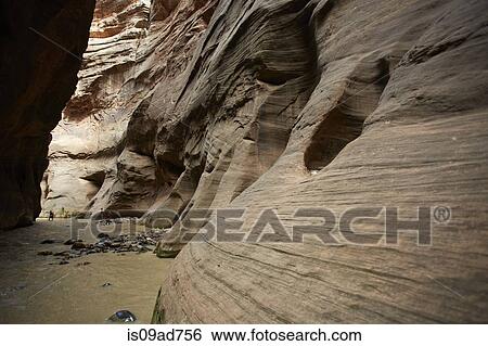 Stock Photograph - Virgin narrows, Zion National Park, Utah, USA. Fotosearch