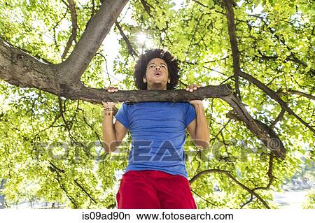 Picture - Young man doing chin ups on tree in park. Fotosearch