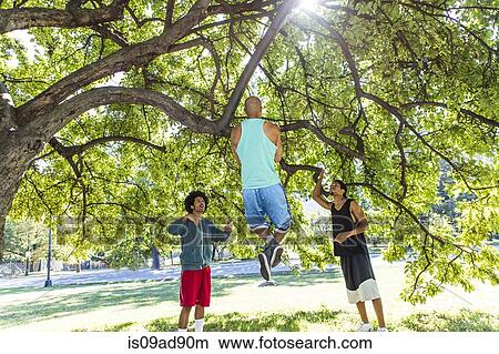 Young man doing chin ups on tree in park with friends View Large Photo Image Picture - Young man doing chin ups on tree in park with friends. Fotosearch