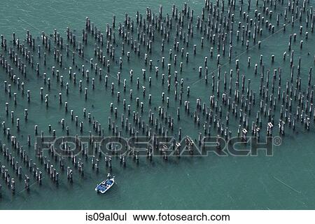 Aerial view of pier pylons and boat, Melbourne, Victoria, Australia View Large Photo Image Stock Image - Aerial view of pier pylons and boat, Melbourne, Victoria, Australia. Fotosearch