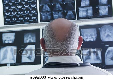 Stock Image - Doctor analysing scan results. Fotosearch