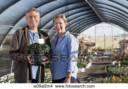 Portrait of mature male and female workers holding potted plant in plant nursery polytunnel View Large Photo Image Picture - Portrait of mature male and female workers holding potted plant in plant nursery polytunnel. Fotosearch