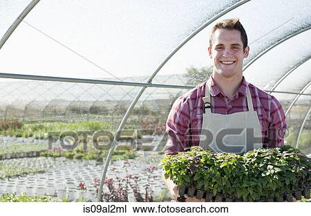 Portrait of young male horticulturalist holding plants in plant nursery polytunnel View Large Photo Image Stock Image - Portrait of young male horticulturalist holding plants in plant nursery polytunnel. Fotosearch