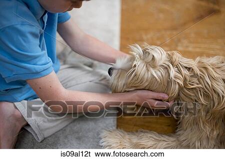 Young boy playing with dog View Large Photo Image Stock Photograph - Young boy playing with dog. Fotosearch