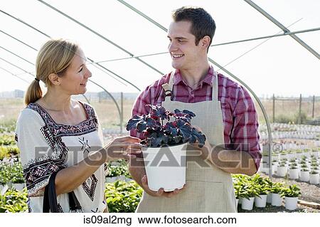 Stock Image - Young male horticulturalist advising female customer on potted plant in plant nursery polytunnel. Fotosearch