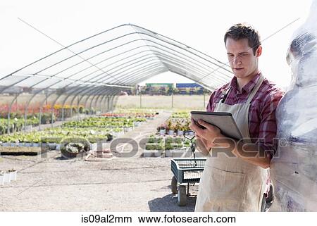 Young male horticulturalist using digital tablet at plant nursery View Large Photo Image Picture - Young male horticulturalist using digital tablet at plant nursery. Fotosearch