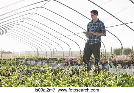 Stock Photo - Young male horticulturalist using digital tablet in plant nursery polytunnel. Fotosearch