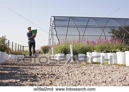 Stock Image - Young male worker carrying sack on shoulders at plant nursery. Fotosearch