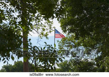 Stock Photography - American flag, seen through trees. Fotosearch