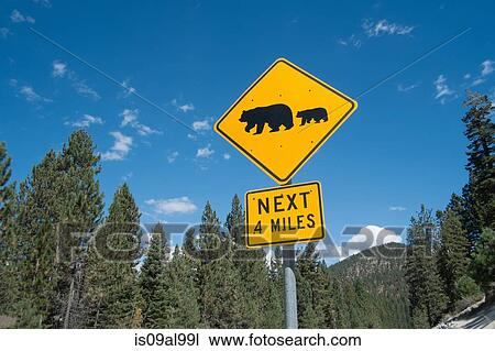 Bear warning sign on highway 56, South Lake Tahoe, Nevada, USA View Large Photo Image Stock Image - Bear warning sign on highway 56, South Lake Tahoe, Nevada, USA. Fotosearch