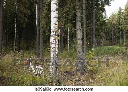 Bicycle among trees, Helsinki, Finland View Large Photo Image Stock Image - Bicycle among trees, Helsinki, Finland. Fotosearch