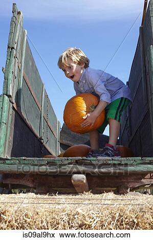 Boy carrying pumpkin on cart View Large Photo Image Stock Photo - Boy carrying pumpkin on cart. Fotosearch