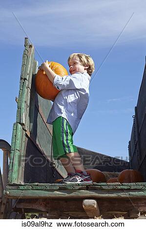 Boy carrying pumpkin on cart View Large Photo Image Stock Photo - Boy carrying pumpkin on cart. Fotosearch