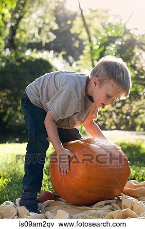 Boy lifting pumpkin View Large Photo Image Stock Photo - Boy lifting pumpkin. Fotosearch