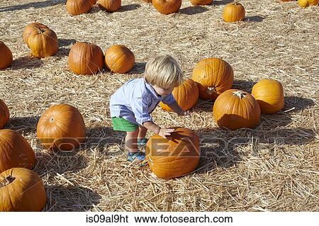 Boy playing with pumpkin View Large Photo Image Stock Photograph - Boy playing with pumpkin. Fotosearch