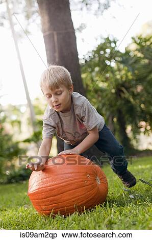 Boy rolling pumpkin View Large Photo Image Stock Photography - Boy rolling pumpkin. Fotosearch