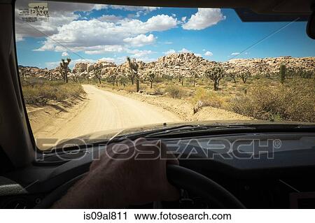 Driver's hand on wheel of car, Joshua Tree National Park, California, US View Large Photo Image Stock Image - Driver's hand on wheel of car, Joshua Tree National Park, California, US. Fotosearch