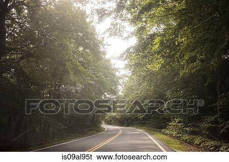 Empty tree lined rural road View Large Photo Image Stock Photograph - Empty tree lined rural road. Fotosearch