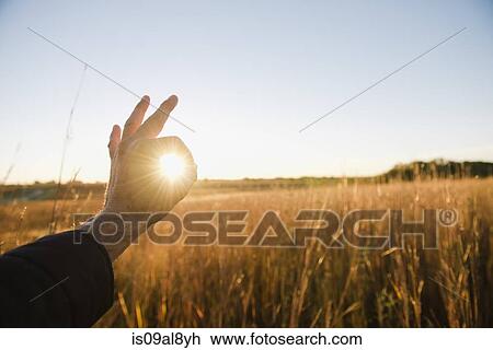Hand of farmer encircling sun in wheat field at dusk, Plattsburg, Missouri, USA View Large Photo Image Stock Image - Hand of farmer encircling sun in wheat field at dusk, Plattsburg, Missouri, USA. Fotosearch